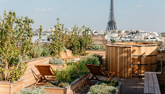 Brach le Potager