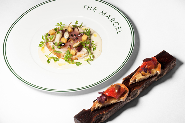 The Marcel