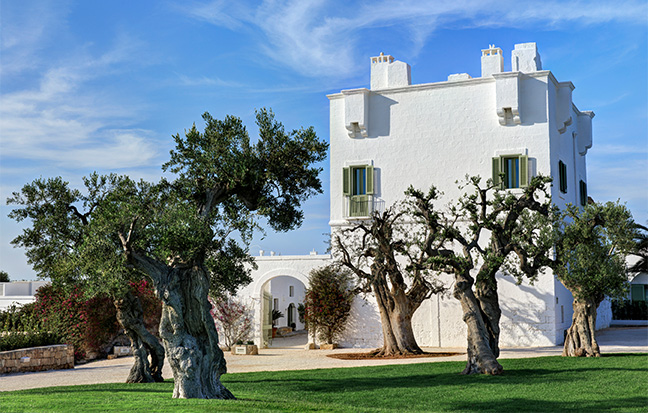 Masseria Torre Maizza