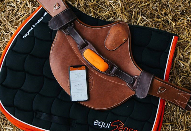 Equisense Motion S