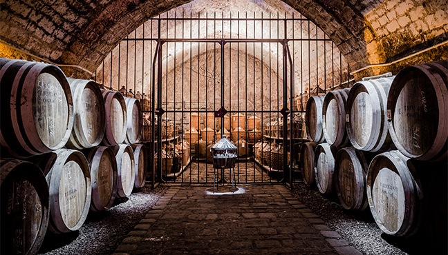 Explore Cognac