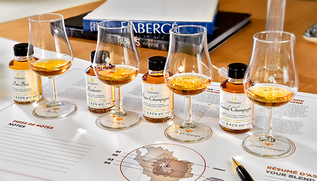 Camus Master Blender Virtuel