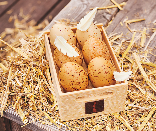 Un potager en chocolat