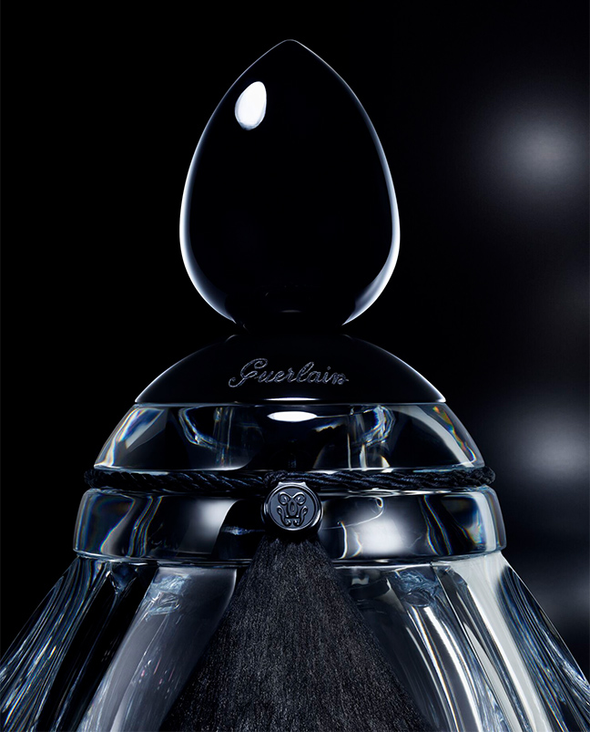 Abeille Noire Édition Prestige