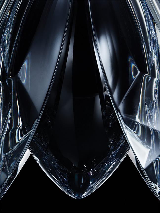 Abeille Noire Édition Prestige