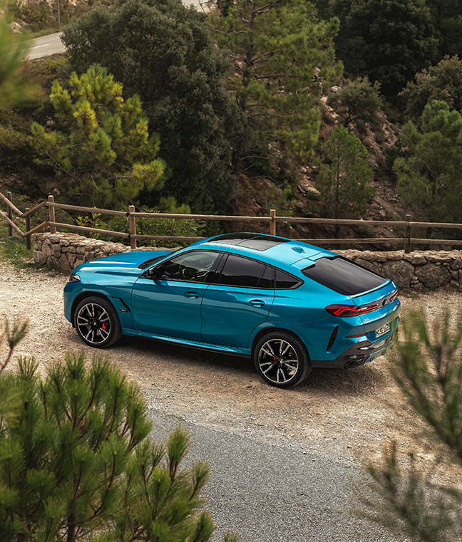 BMW X6