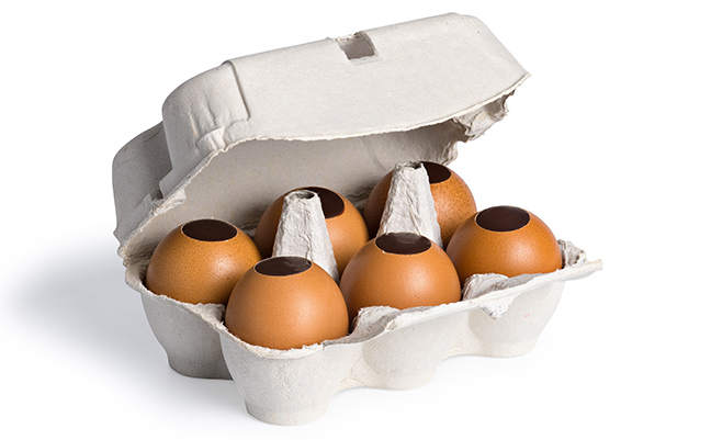 Fleurs de Pâques - La Maison du Chocolat