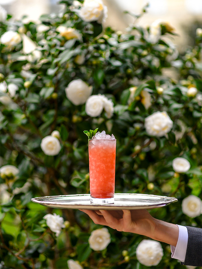 Ostara - Ritz Bar