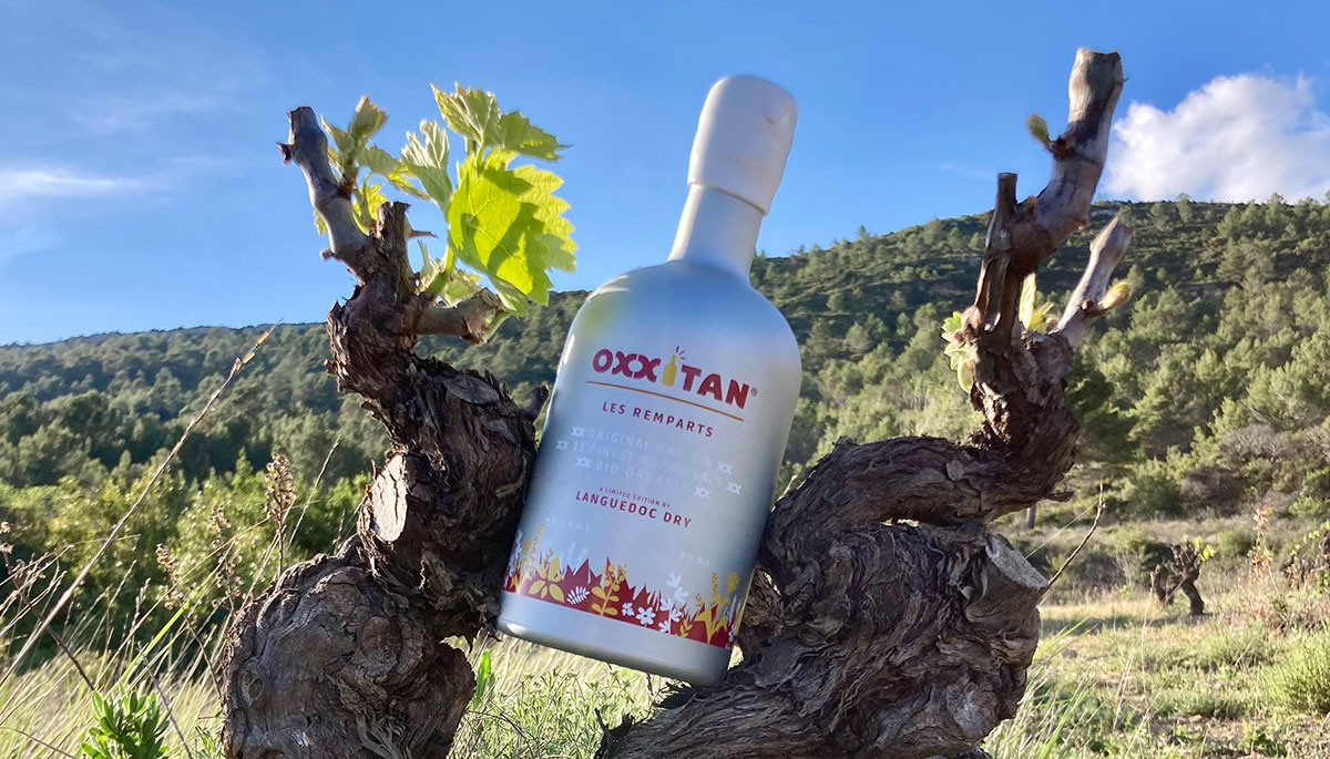 Le gin Oxxitan ou les spiritueux des garrigues