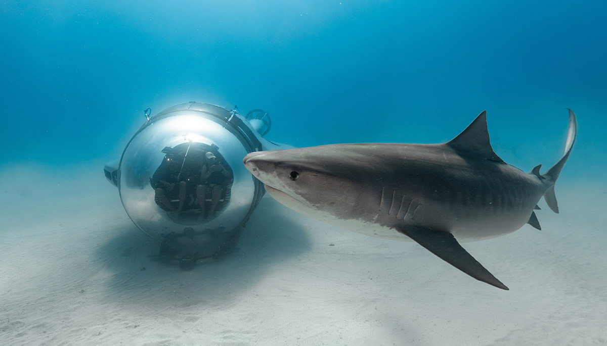 U-Boat Worx Super Sub