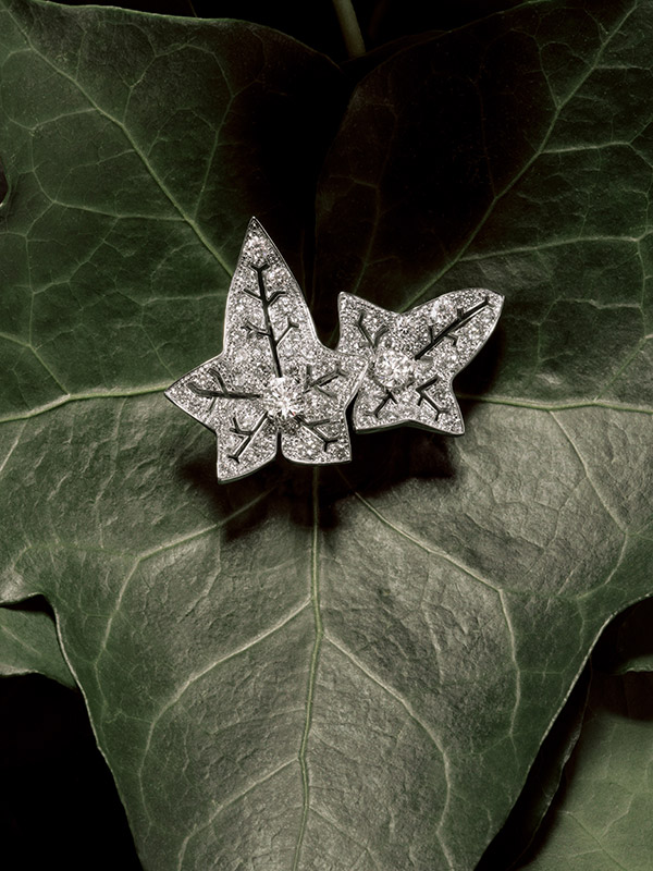 Boucheron Lierre de Paris