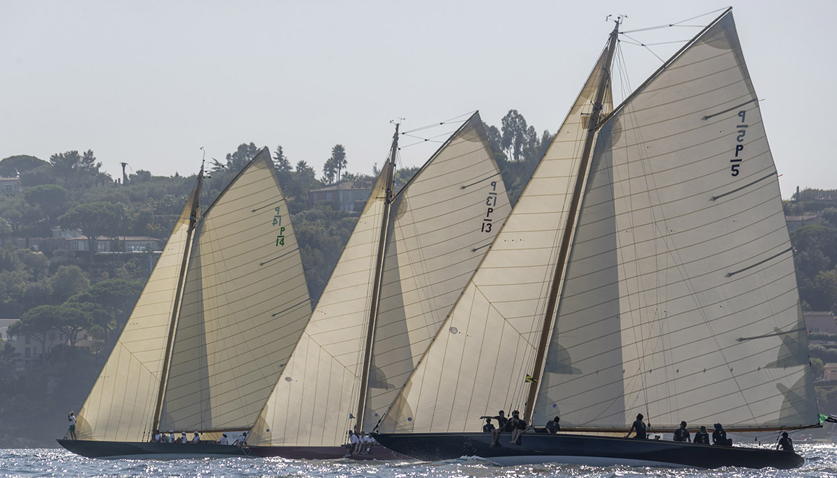 Les Voiles de Saint-Tropez