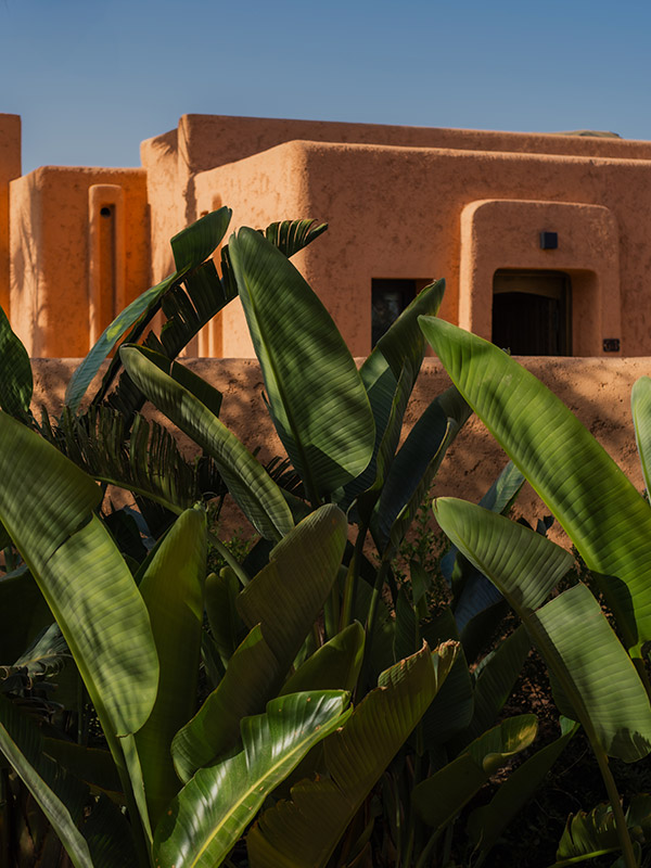 Oasis Lodges